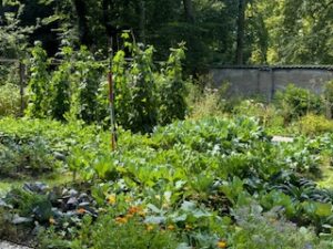 Wordt 'Vriend van de Tuin'