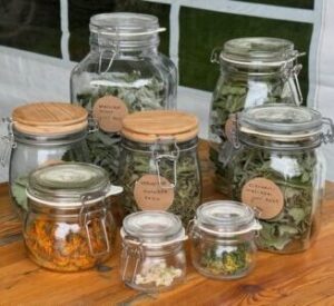 Workshop Thee uit eigen tuin
