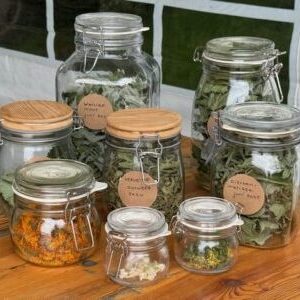 Workshop Thee uit eigen tuin