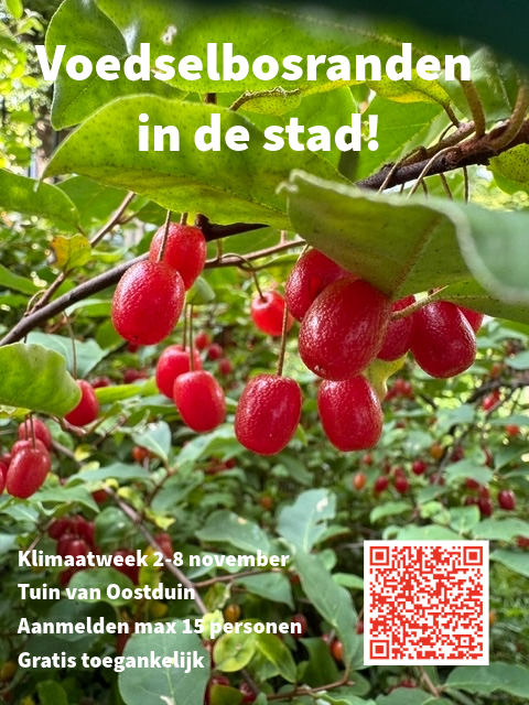 Voedselbosranden in de stad!